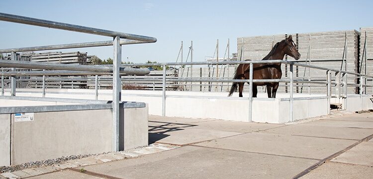 Bosch Beton - Paddocks van keerwanden voor Arabische renpaarden