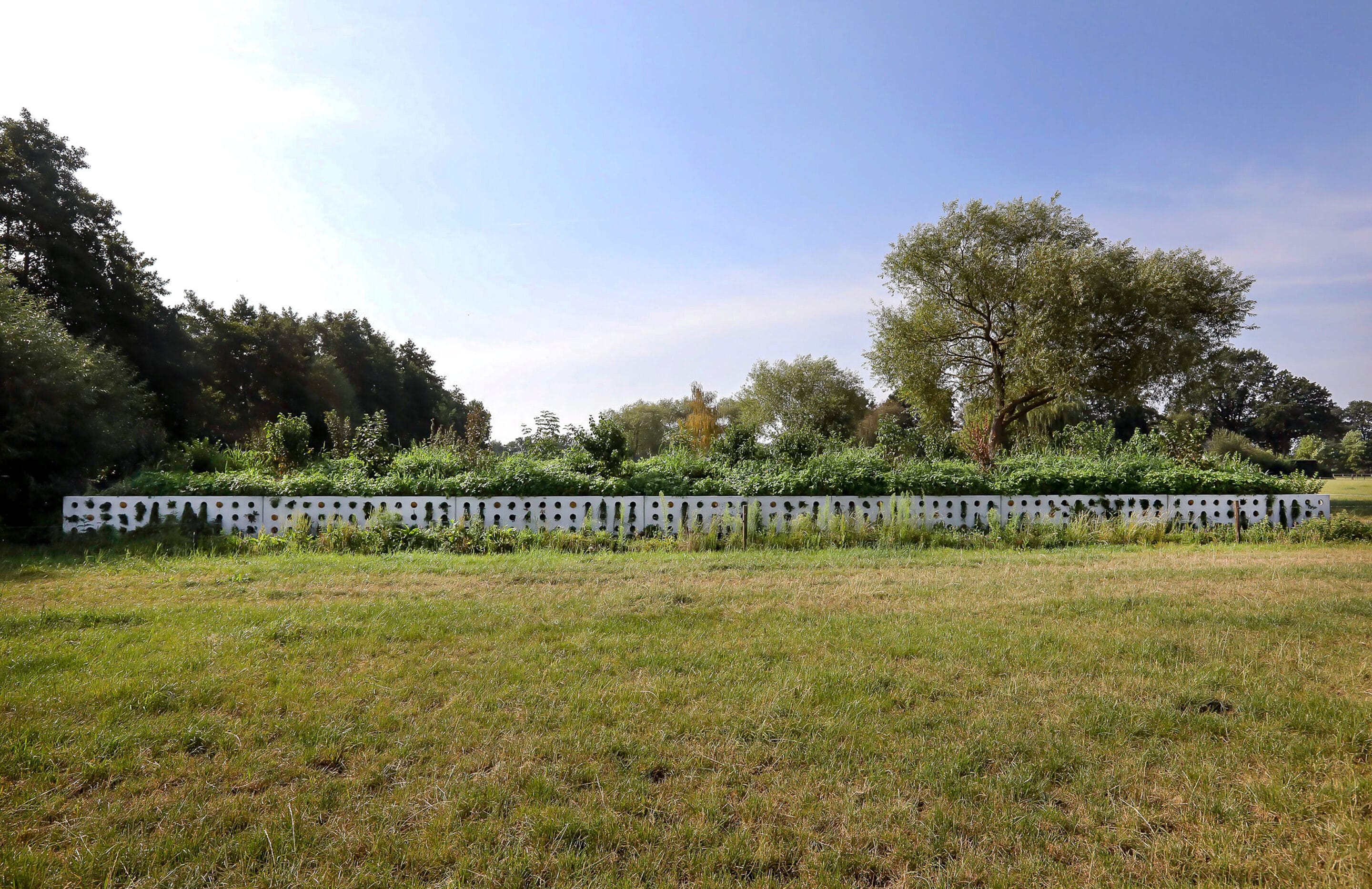 Bosch Beton - De bio-keerwand draagt positief bij aan biodiversiteit