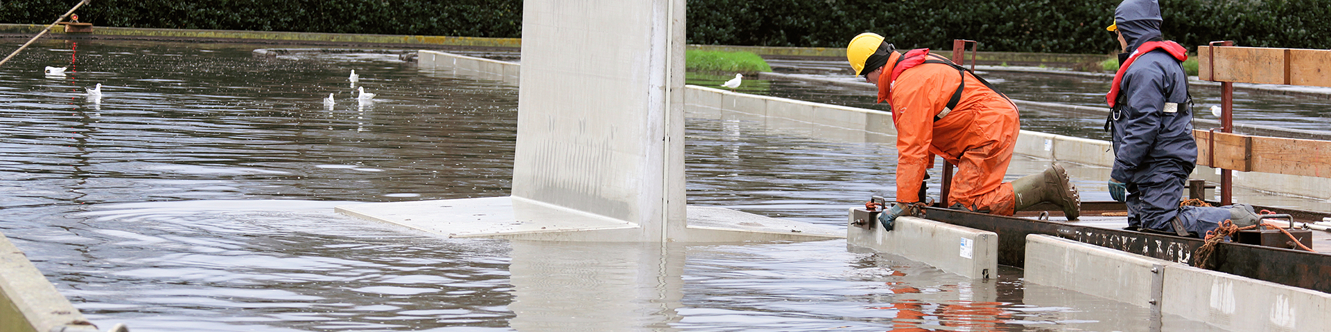 Bosch Beton - Renovatie rioolwaterzuivering (rwzi) De Sumpel in Almelo