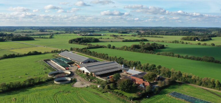 Bosch Beton - Sleufsilo bij melkveebedrijf Hveddegaard in Kibæk (DK)